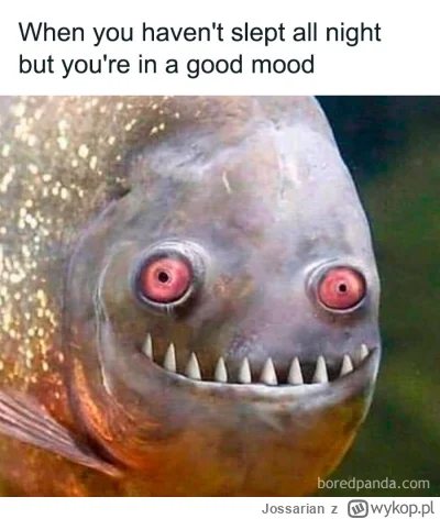 Jossarian - ( ͡º ͜ʖ͡º)