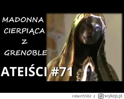 robert5502 - Na przykładzie katastrofy autokaru w Grenoble zobaczmy w jakie glupoty p...