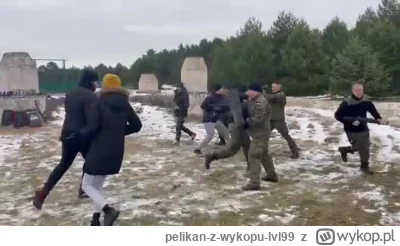pelikan-z-wykopu-lvl99 - #ukraina #polska #wojskopolskie #wojna Profesjonalne natowsk...