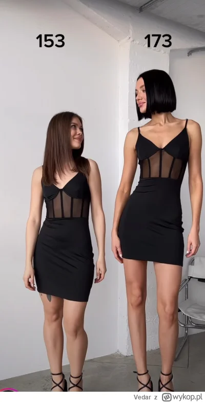 Vedar - karzeł kontra wzrostak #przegryw