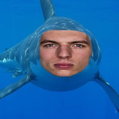 kamil-talaga-18 - #f1 czuje krew. Dawaj Max!