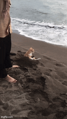 wfyokyga - Wszystko takie nie wiem