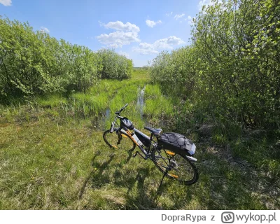 DopraRypa - 235 104 + 138 = 235 242

Zbieranie kwadratów na bagnach. Oczywiście jedne...