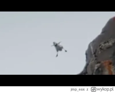 jmp_eax - #giełda #wig20 
⚰️🪦