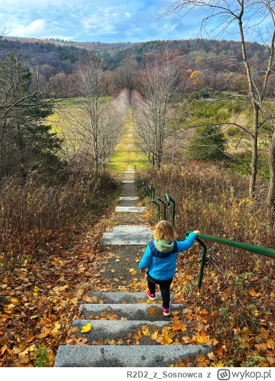 R2D2zSosnowca - Chodzone było to i fotek narobiłem a że miejscówka zacna to i fotorel...