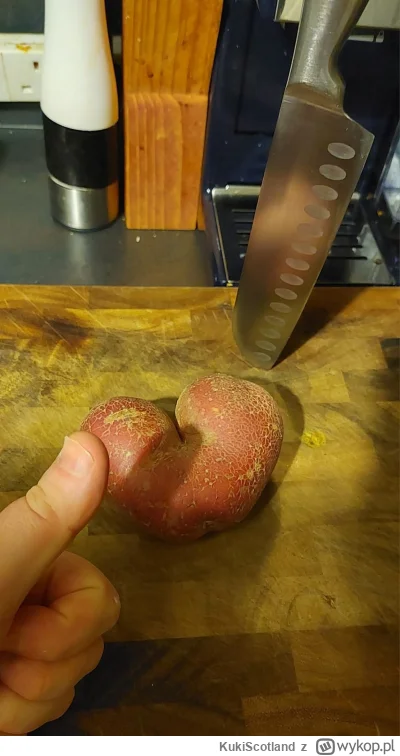 KukiScotland - #przegryw huop ma dylemat.....Co ja mam z tym zrobić ........         ...