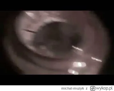 michal-muzyk - #testoviron Testo robi lody skuhwysyny