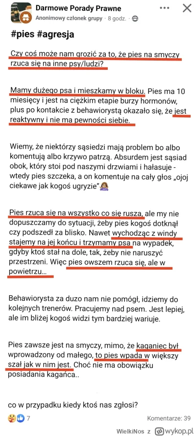 WielkiNos - Obczajcie to. Baba ma agresywnego psa, który rzuca się na wszystko co się...
