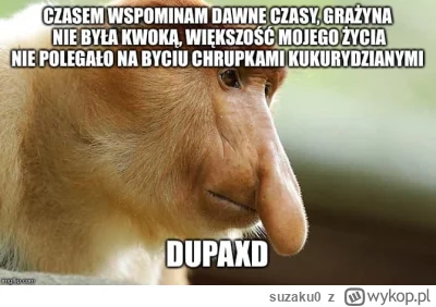 suzaku0 - #konkursnanajbardziejgownianymemznosaczem