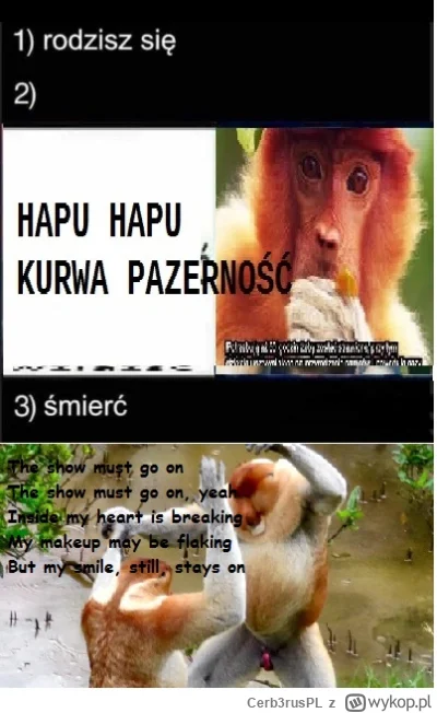 Cerb3rusPL - #konkursnanajbardziejgownianymemznosaczem #kolekcjaklasyki

Jo i pozerno...