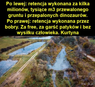 Rademedes - Bobry są spoko. Wykop.