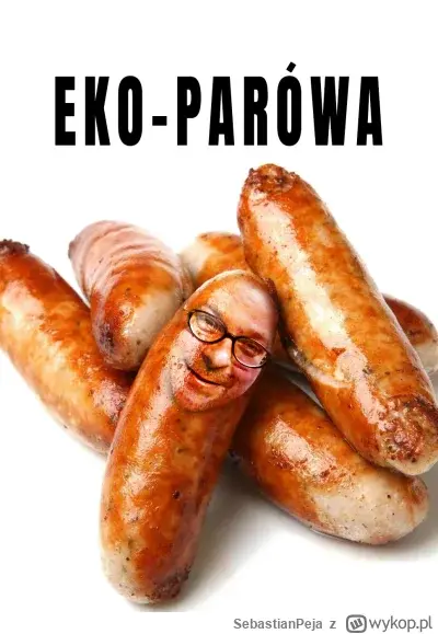 ZaczarowanyLump - #kononowicz #patostreamy Marioli i Renaty Pastor z Krzyżowej