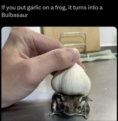 mala_kropka - #zupawkropki