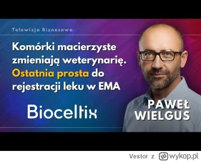 Vestor - @jueun: https://www.youtube.com/watch?v=NG6i3YyM6hc