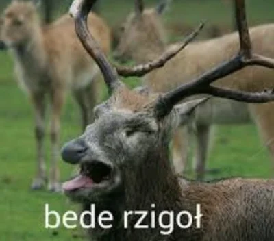 Spuchaczu - @b0dyload: