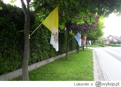 Lukardio - Dlaczego flagi obcego państwa są montowane do budynków?

stop watykanizacj...