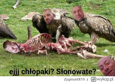 ZygmuntX19 - @heinrich-von-spychow