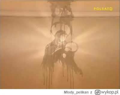 Mlody_pelikan - #bekazpodludzi #kiepskinihilizm #heheszki
A propos Matki Boskiej na d...