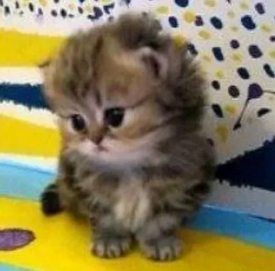 Konrad2114 - Rozmarzyłem się o trzymaniu za ręce