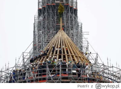 PiotrFr - W związku z ukończeniem więźby katedry Notre-Dame, Niemcy pytają dlaczego b...