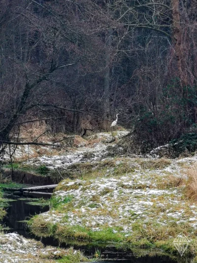 P.....Q - 826 926 + 59 + 23 = 827 008

Udało się, 20k REALNYCH kilometrów w tym roku ...