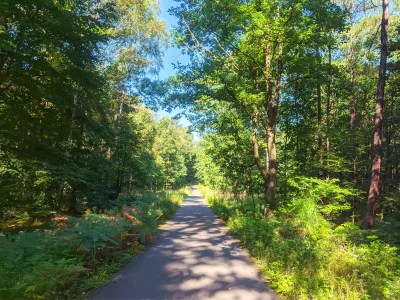 sylwke3100 - Katowickie lasy to dobre miejsce do rowerowania i nie trzeba gdzieś dale...