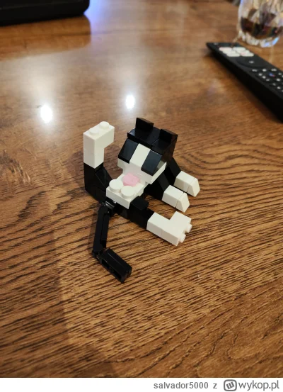 salvador5000 - #smiesznykotek