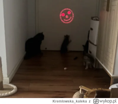 Kremlowska_kaleka - Objawienia w Gietrzmiałdzie, 1877 kotoryzowane

#heheszki #koty #...