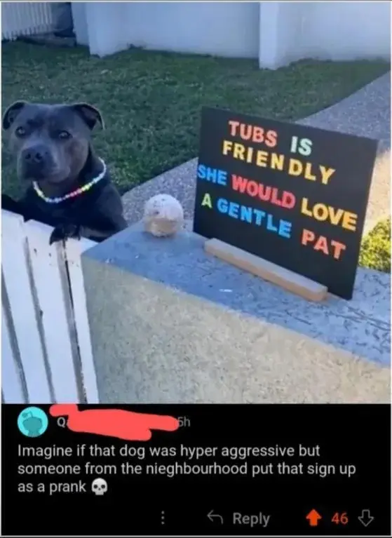 Thelastperfect_man - #psy #piesmorderca #heheszki #itsaprankbro