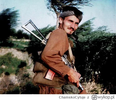 ChamskoCytuje - Jeśli PO faktycznie chce zgarnąć fotel prezydenta to jedynym wyborem ...