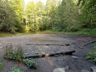 Speleo84 - Mokry Stawek pod Babią Gorą zniknął... susza.
#polska #gory #beskidy #babi...