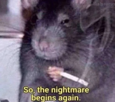 m-mmmm_marysia - #gielda