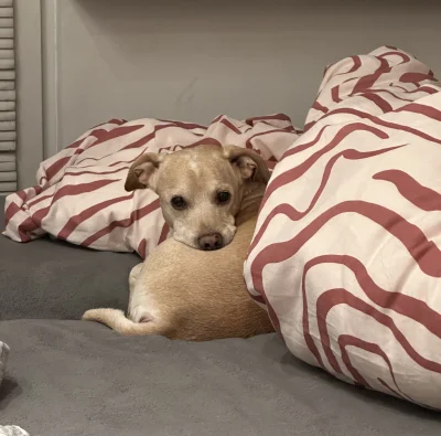 bibi__ - Czasem mam wrażenie, ze mama dogo dała nawet kotu, wygięcie w kąt prosty to ...