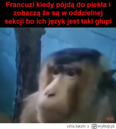 vZGLSjkzfn - #napierala