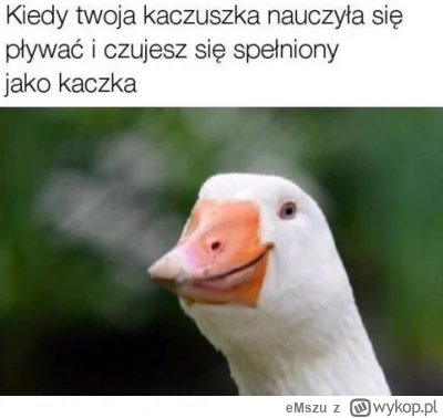 eMszu - @KebabZostrymSosem: