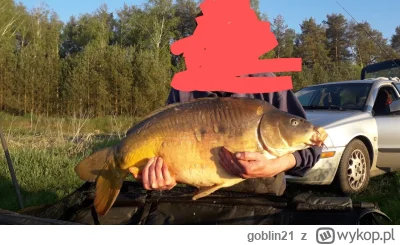 goblin21 - Szwagier bydlaka upolował. 
18 kg
#ryby