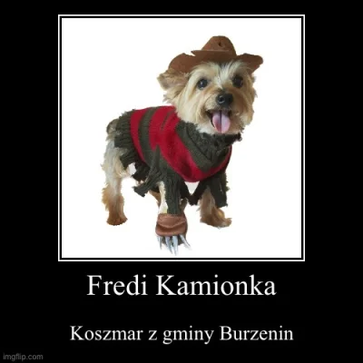 Bujak - #humorobrazkowy #heheszki #fredikamionka