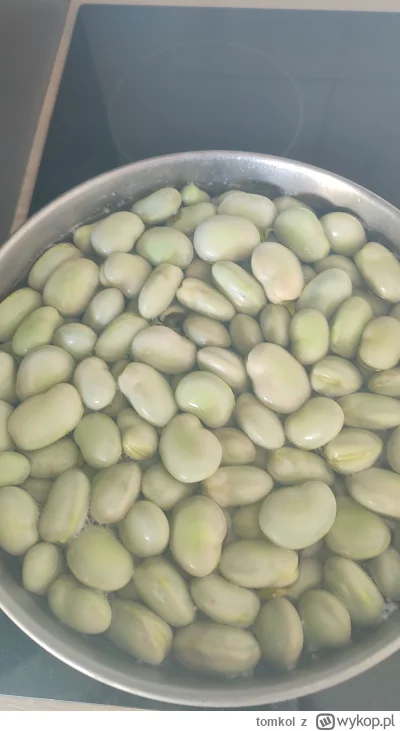 tomkol - #ilekilobobu 
#bojowkabobu
#bob
#jedzzwykopem
18 i 19/
Darzbób!
Witajcie bob...