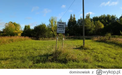 dominowiak - @dominowiak