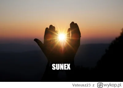Vateusz23 - #sunex kontynuuje odbicie #gielda