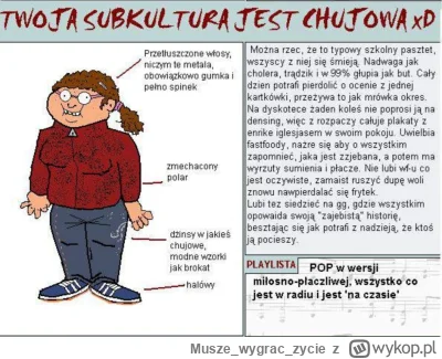 Muszewygraczycie - Należałyście kiedyś do tej subkultury lub bardzo zbliżonej? Ja tak...