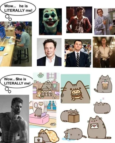 totemlesnychludzi - #heheszki #sigmamalegrindset #sigmamale #takaprawda #logikaniebie...