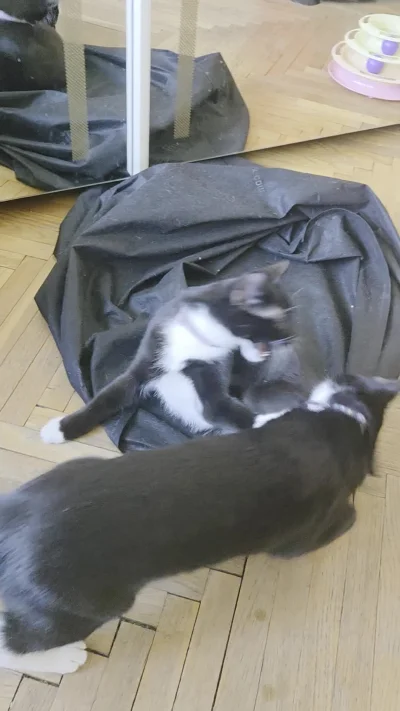 Dwudziestydrugi - @MarmoladaNykilor: