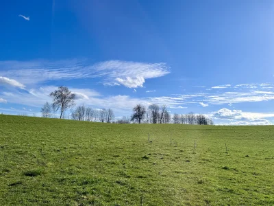 Palinkka - Widoczek, nie wiem co powiedzieć. Jest tak ładne że aż nierealne.  #mazury...