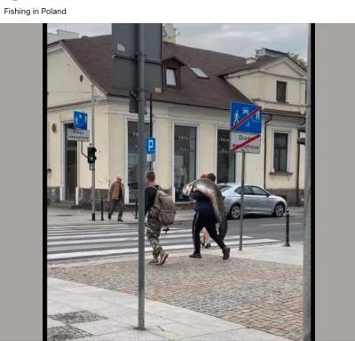 jbc_putina - >cudze chwalicie swego nie znacie

znajoma z Bułgarii dziś podesłała, na...