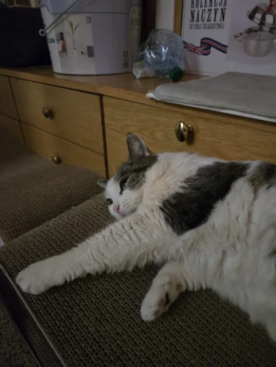 Solsith - @vateras131: czekamy aż przyjdzie ( ͡° ʖ̯ ͡°)