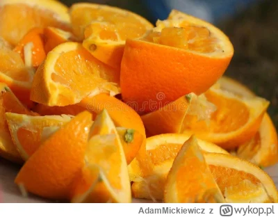 AdamMickiewicz - Daj plusa jeśli kiedyś dławiąc się tą białą częścią pomarańczy w myś...