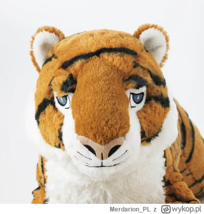 Merdarion_PL - 25, niebezpiecznie zbliżamy się do remisu
#mecz #dolnoslaskitygrys