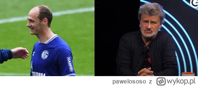 pawelososo - Pojawił się wywiad z Palikotem i jestem pod wrażeniem ile ona ma włosów ...