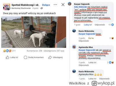 WielkiNos - Psiary by zamknęły w ośrodku za brak empatii chłopa, który proponuje zadz...